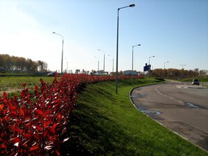 Асфальтирование в Перми